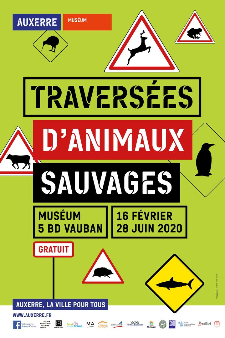 Visuel-Traversees-d-animaux-sauvages-Museum-Auxerre-compresse