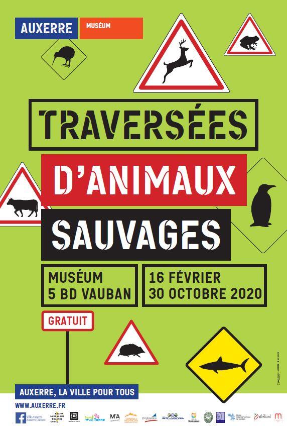 Visuel traversées compression légère
