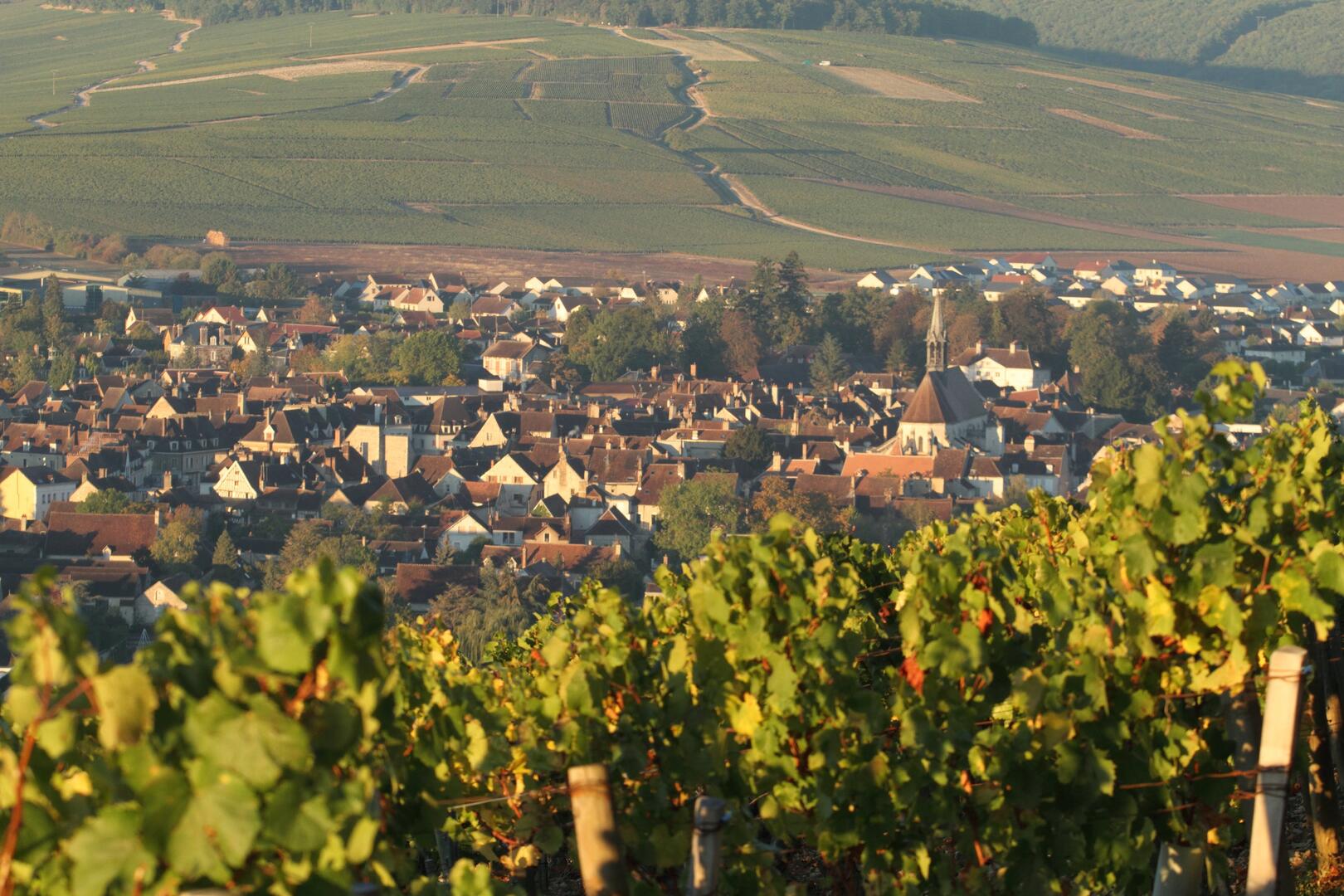 Vue Chablis