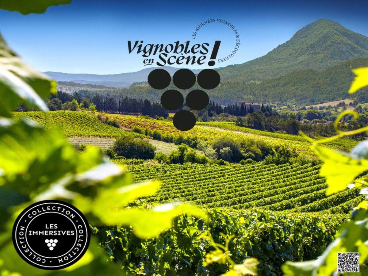 VES - ACCUEIL VIGNERON LIMOUXIN