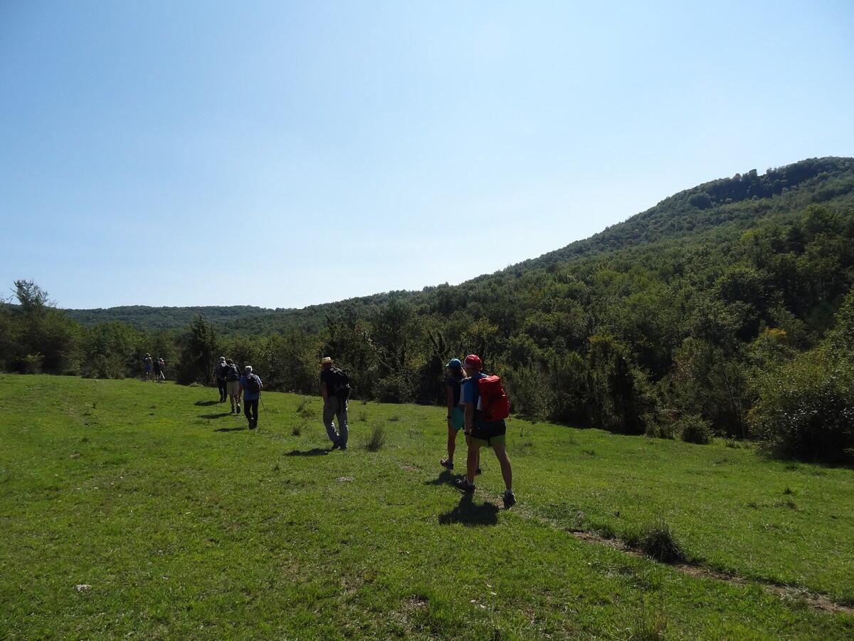 Rondes de la voie verte