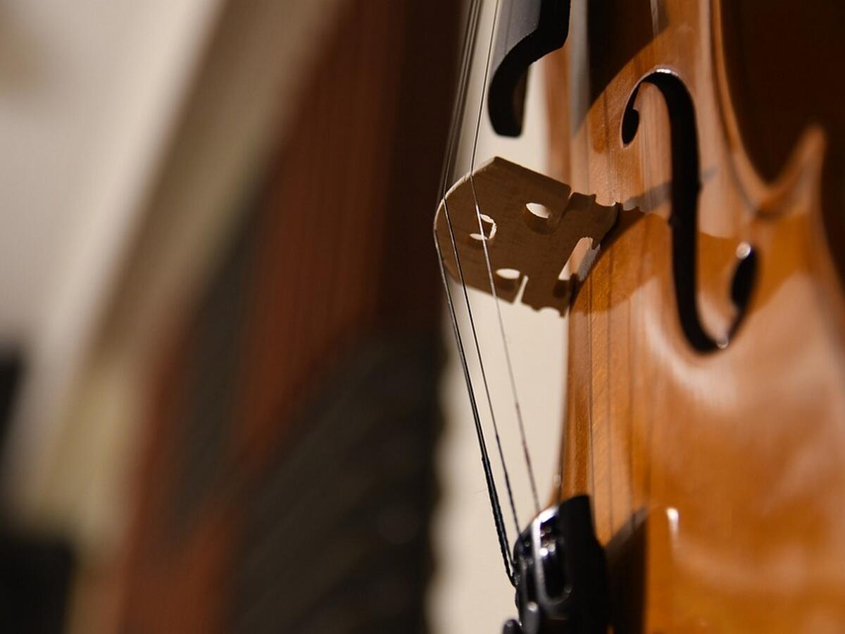 violon