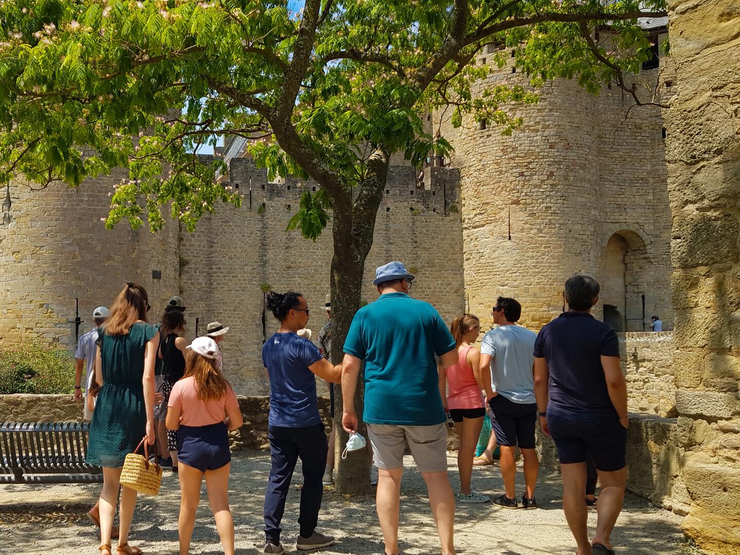 Visite guidée de la Cité Médiévale