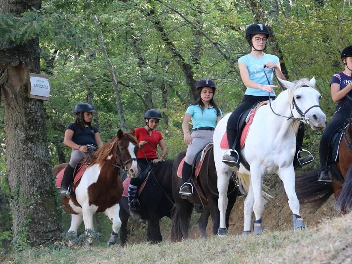BALADE A CHEVAL