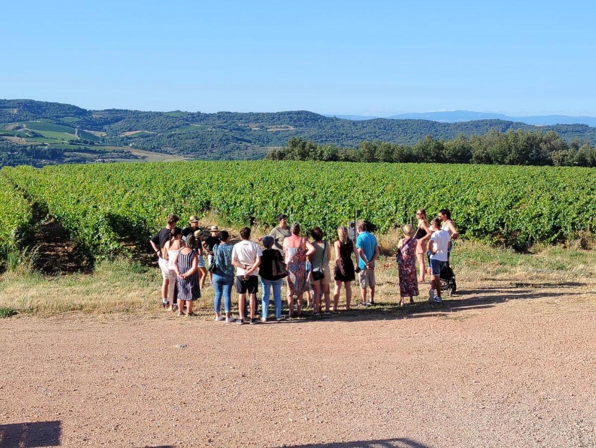Domaine de Fourn Robert