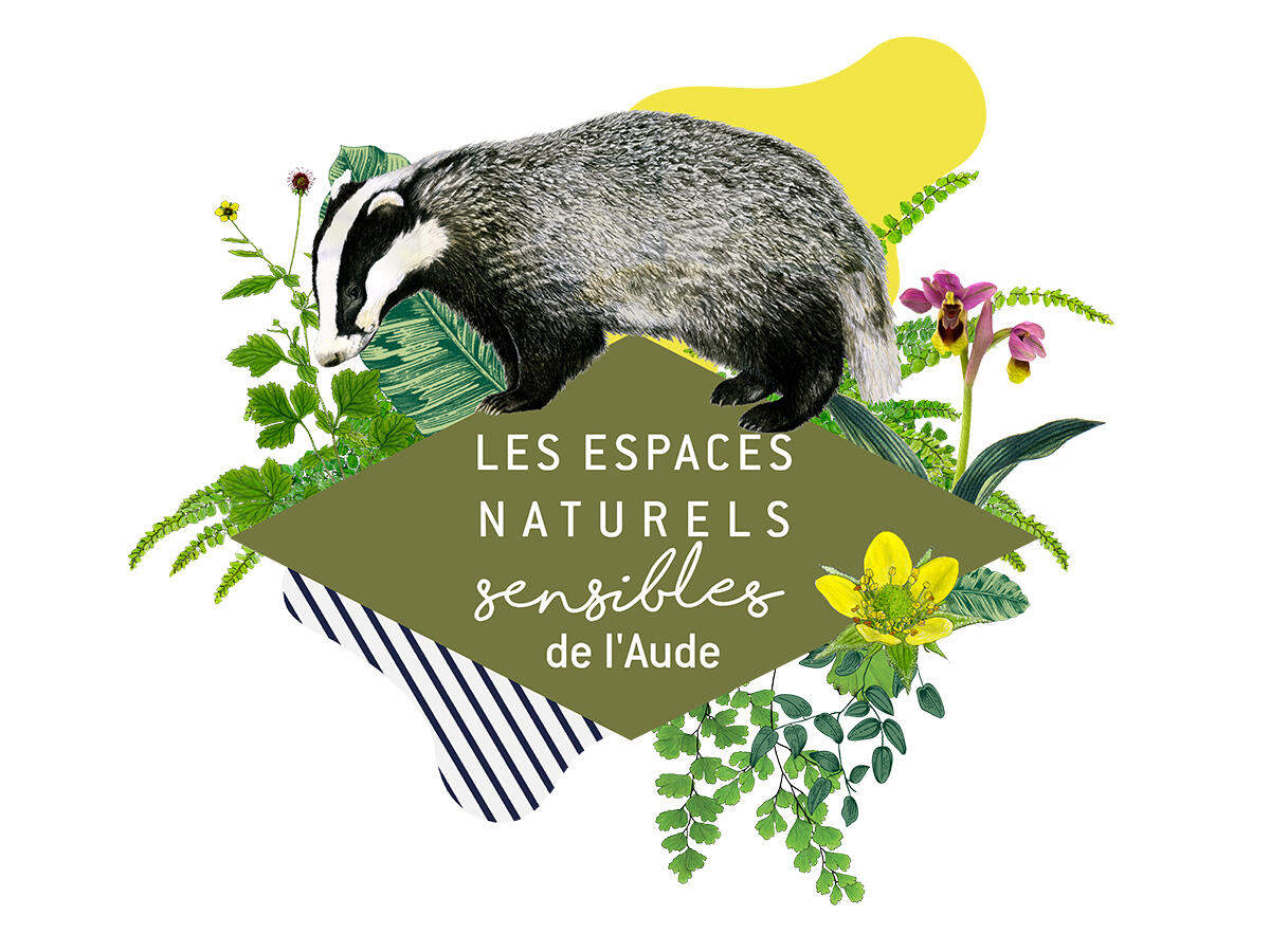 ENS-loir