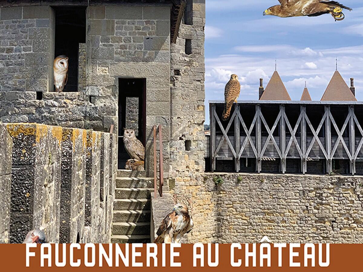 FAUCONNERIE AU CHATEAU