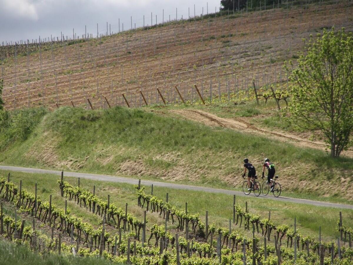 Limouxin 8_©Le Cyclo Club de Limoux