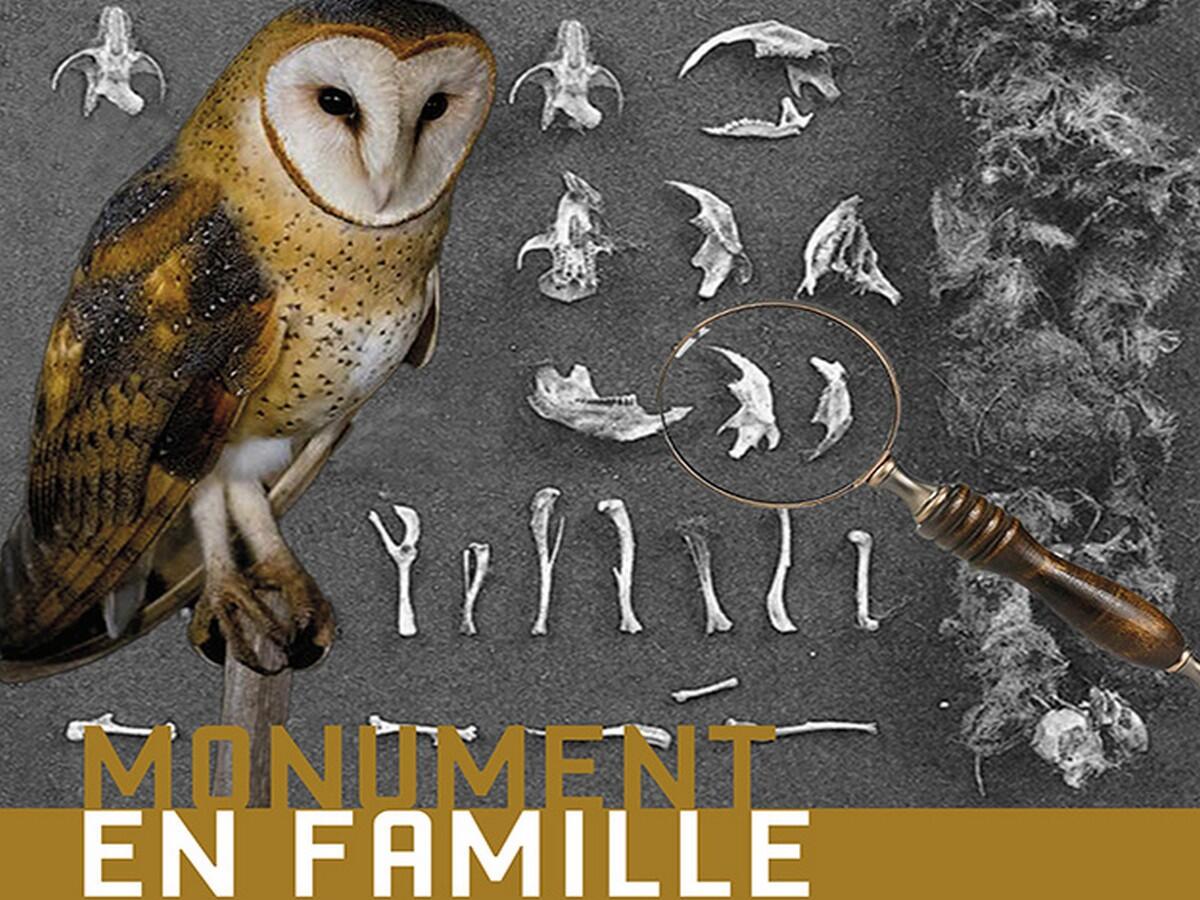 MONUMENT EN FAMILLE RAPACES