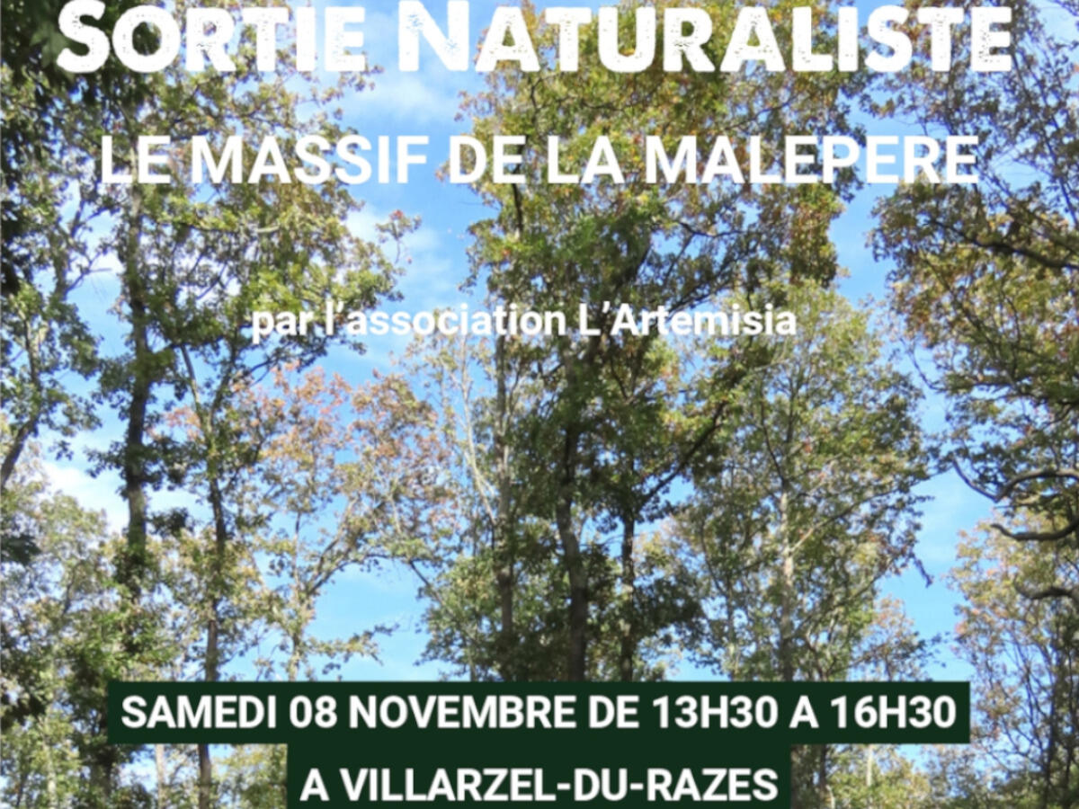 Sortie Natura 2000