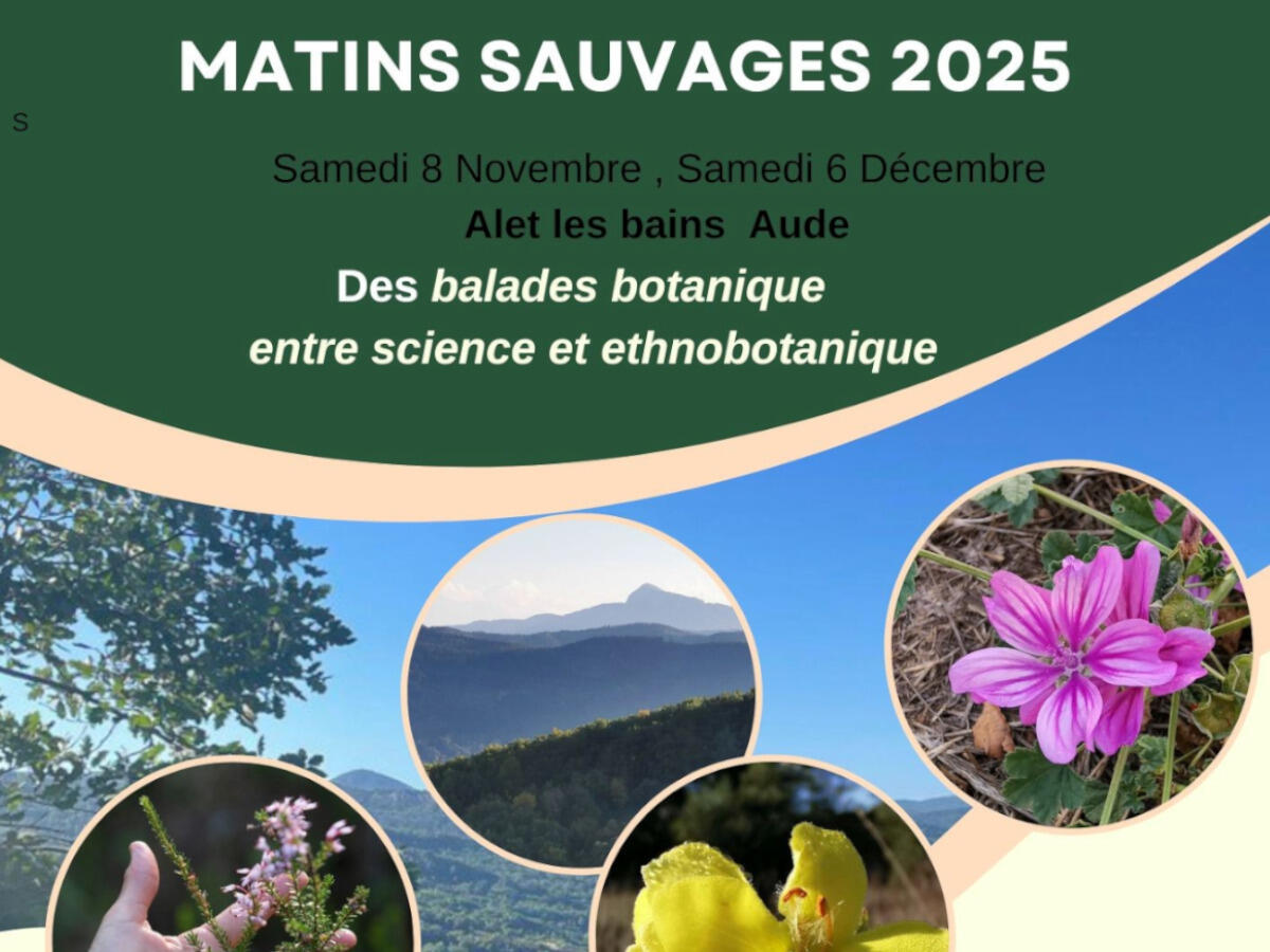 Matins sauvages 8 nov et 6 décembre