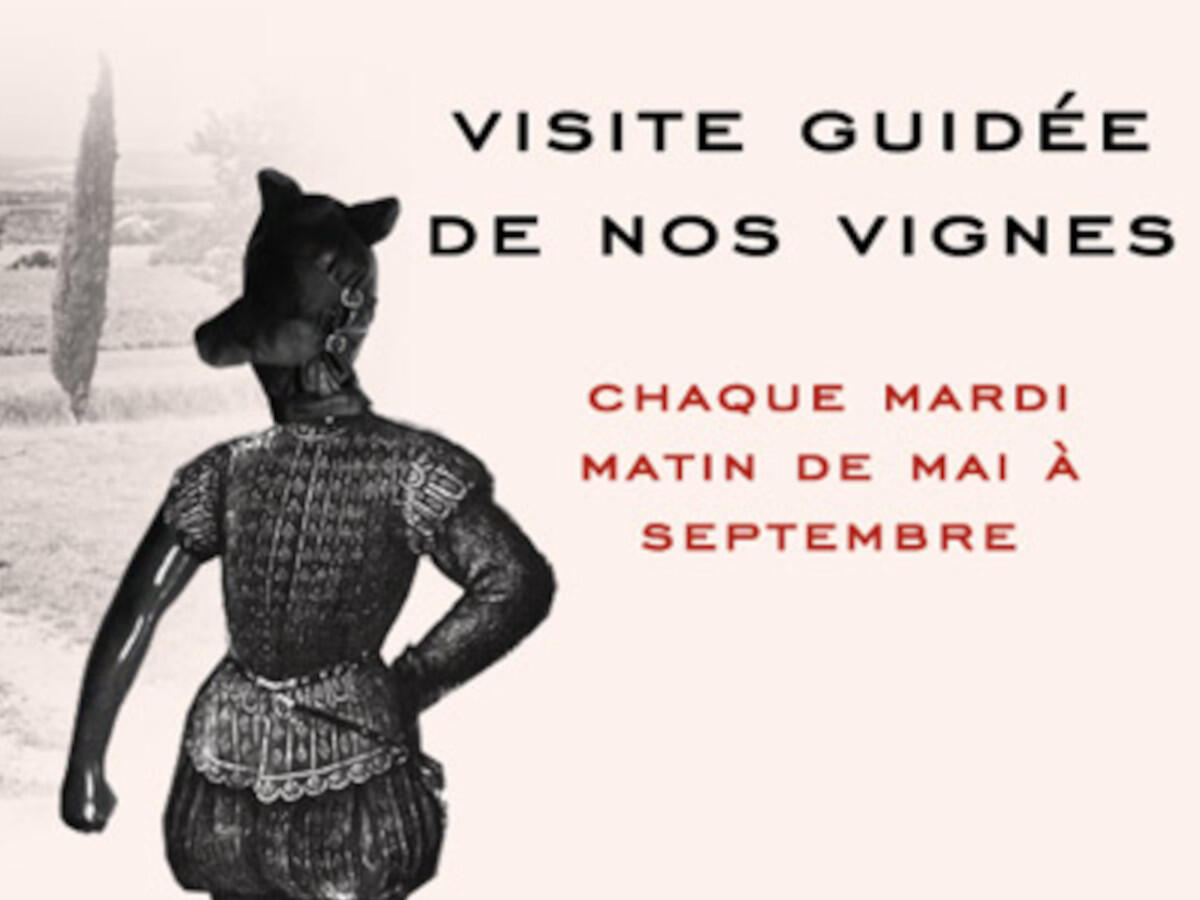 VISITE GUIDÉE DE NOS VIGNES