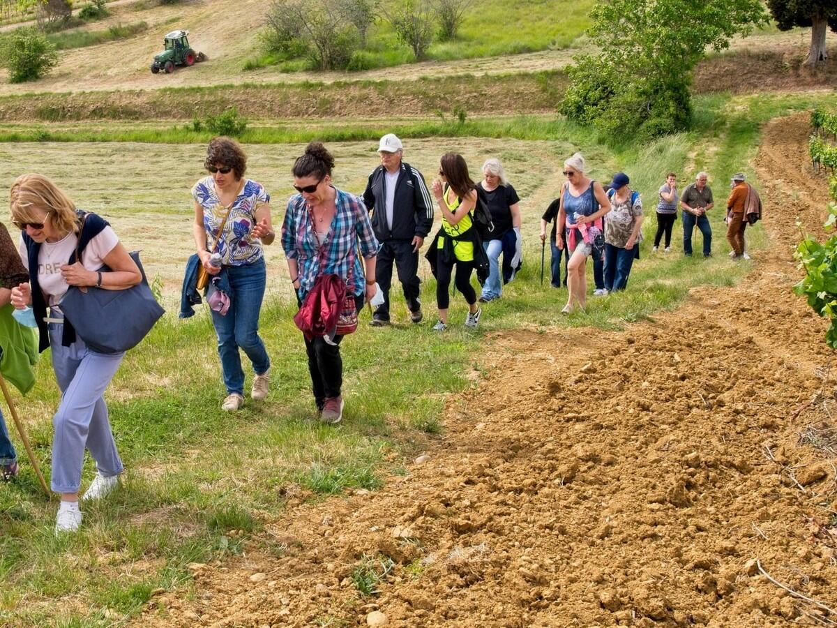 Balades vigneronnes de Saint-Hilaire