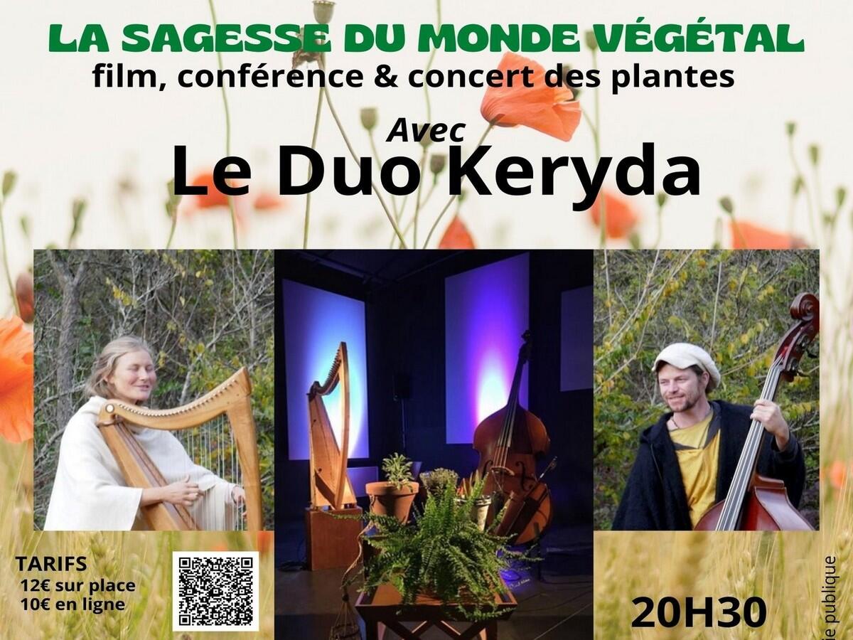 festival harpe RLB (2)