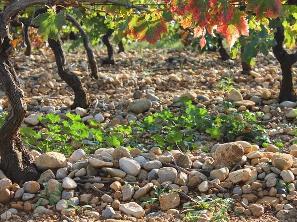 DOMAINE LA BOUYSSE