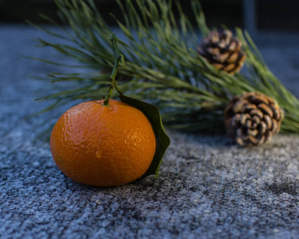 photo marché décembre mandarine