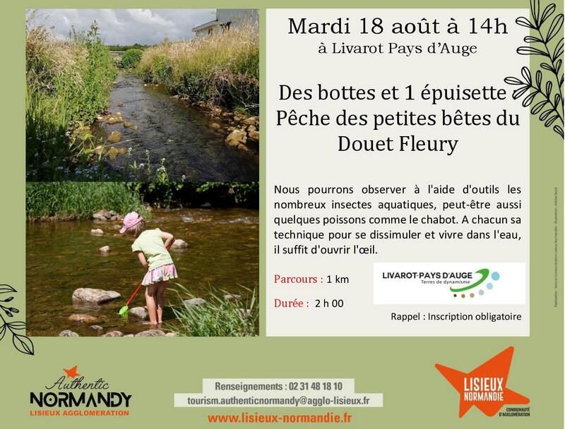 08-18--Sortie nature Livarot-800x600