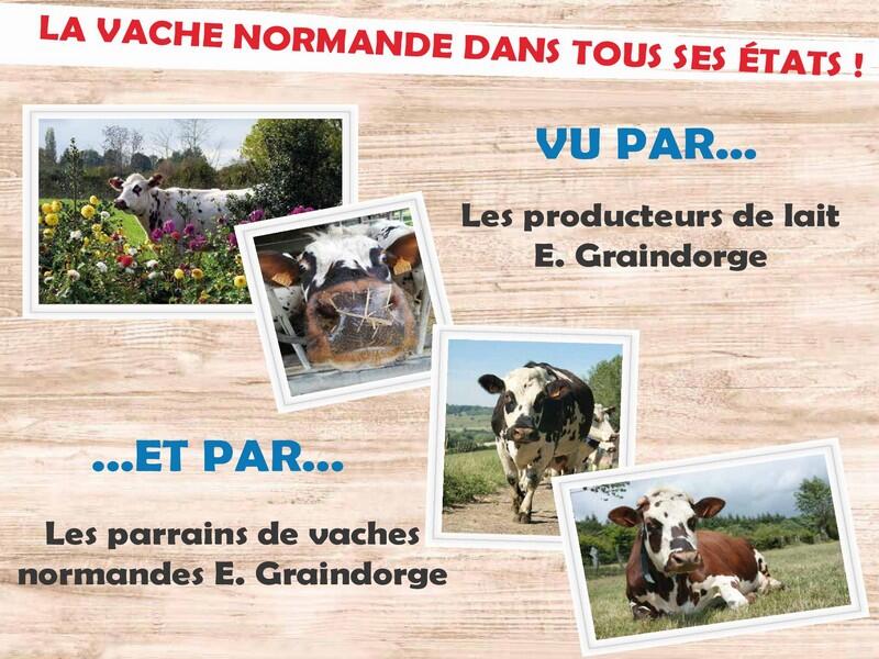 Affiche photocow l BD-page-001 1