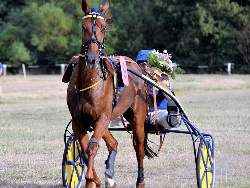 Cheval