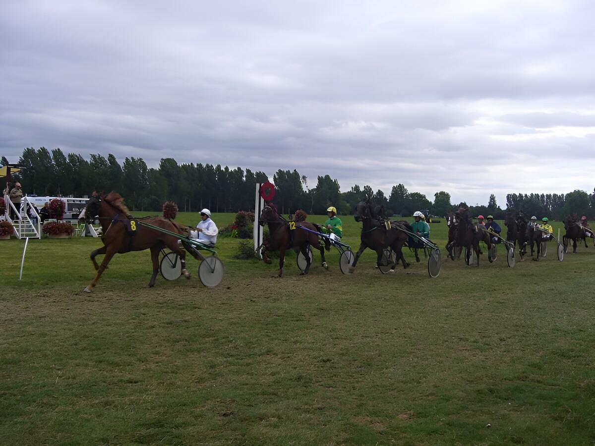Courses hippiques