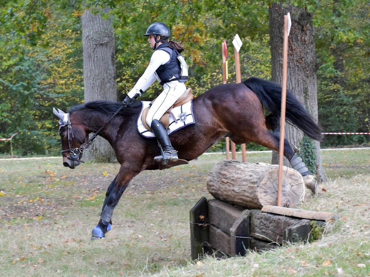 Derby Robillard - Michel Cesbron (1)