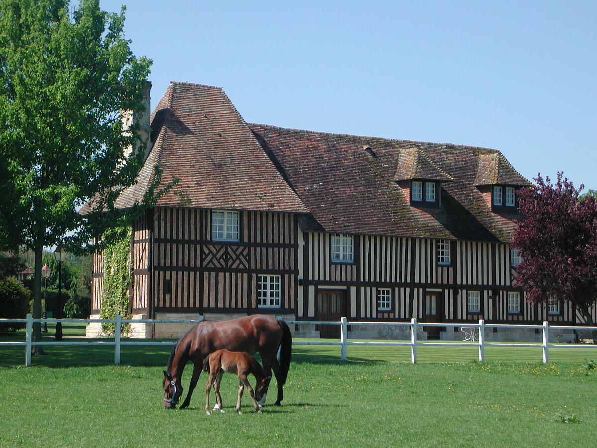 Haras de la Barbotière