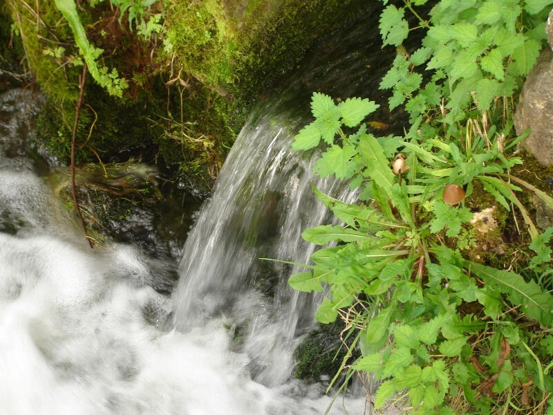 La source