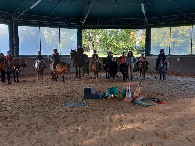 Poneys en photo ©Poney club du moulin bourg