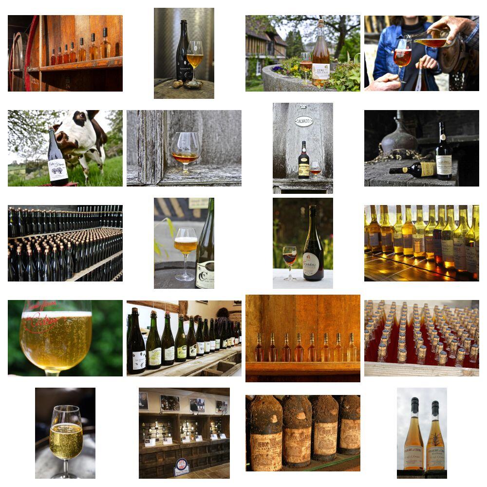 bienvenue sur la Route du Cidre Cambremer