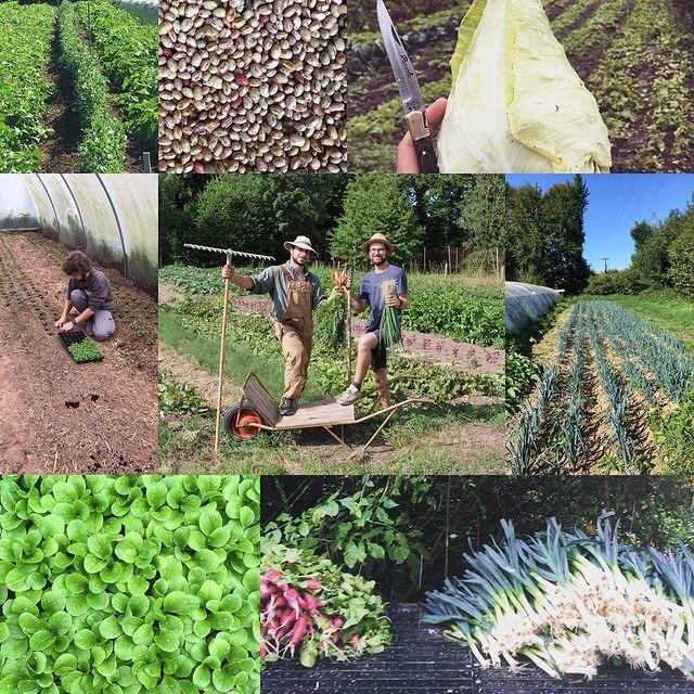 Les jardins
