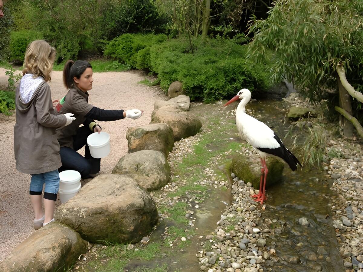 qui-mange-quoi-famille-cerza
