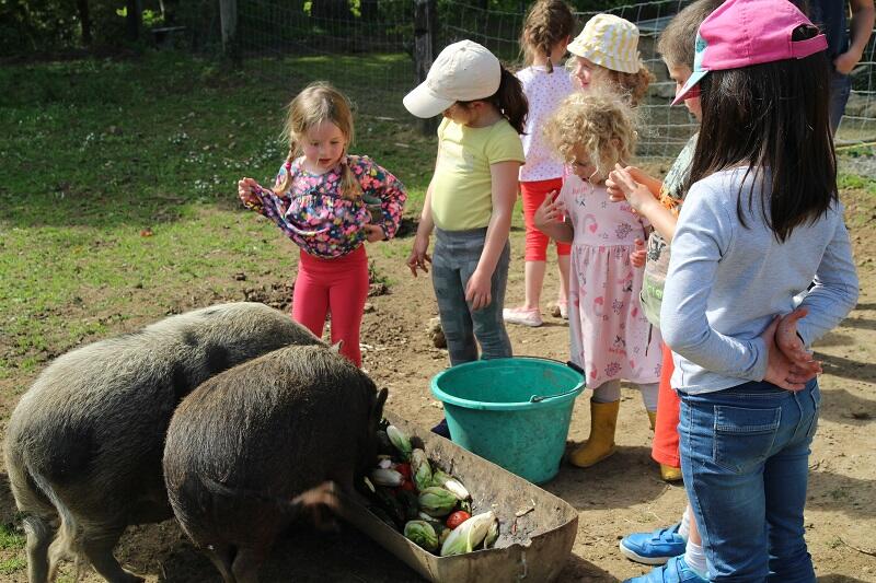 Atelier nourrissage à la ferme