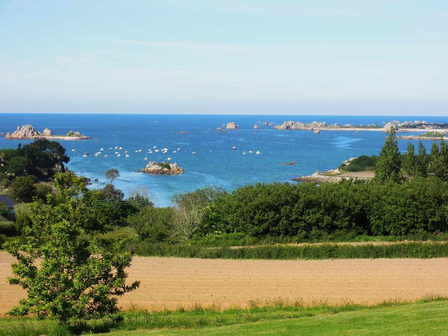 BUGUELES ENTRE MAREE ET MARAIS 11