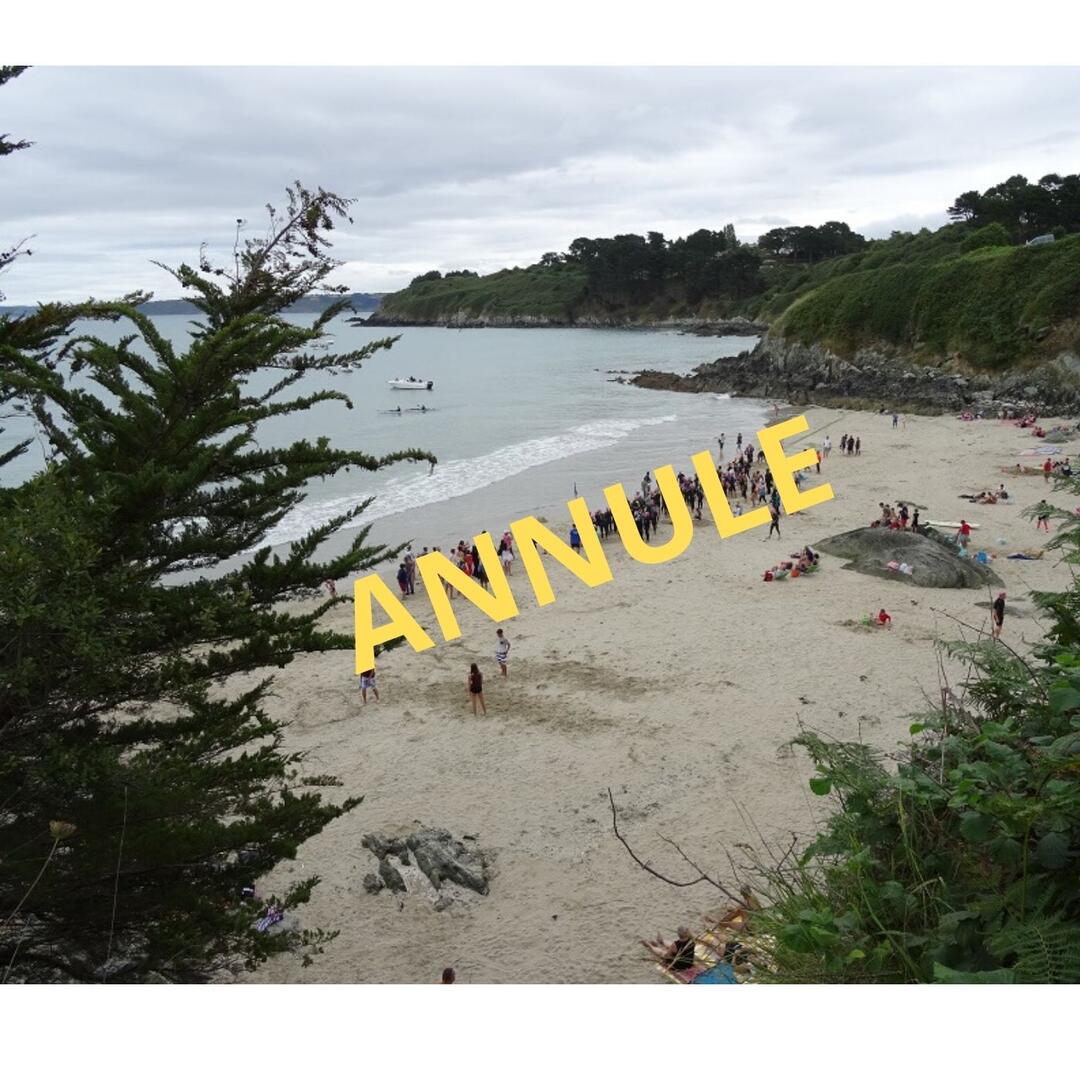 Copie de Reporté en 2021 (1)