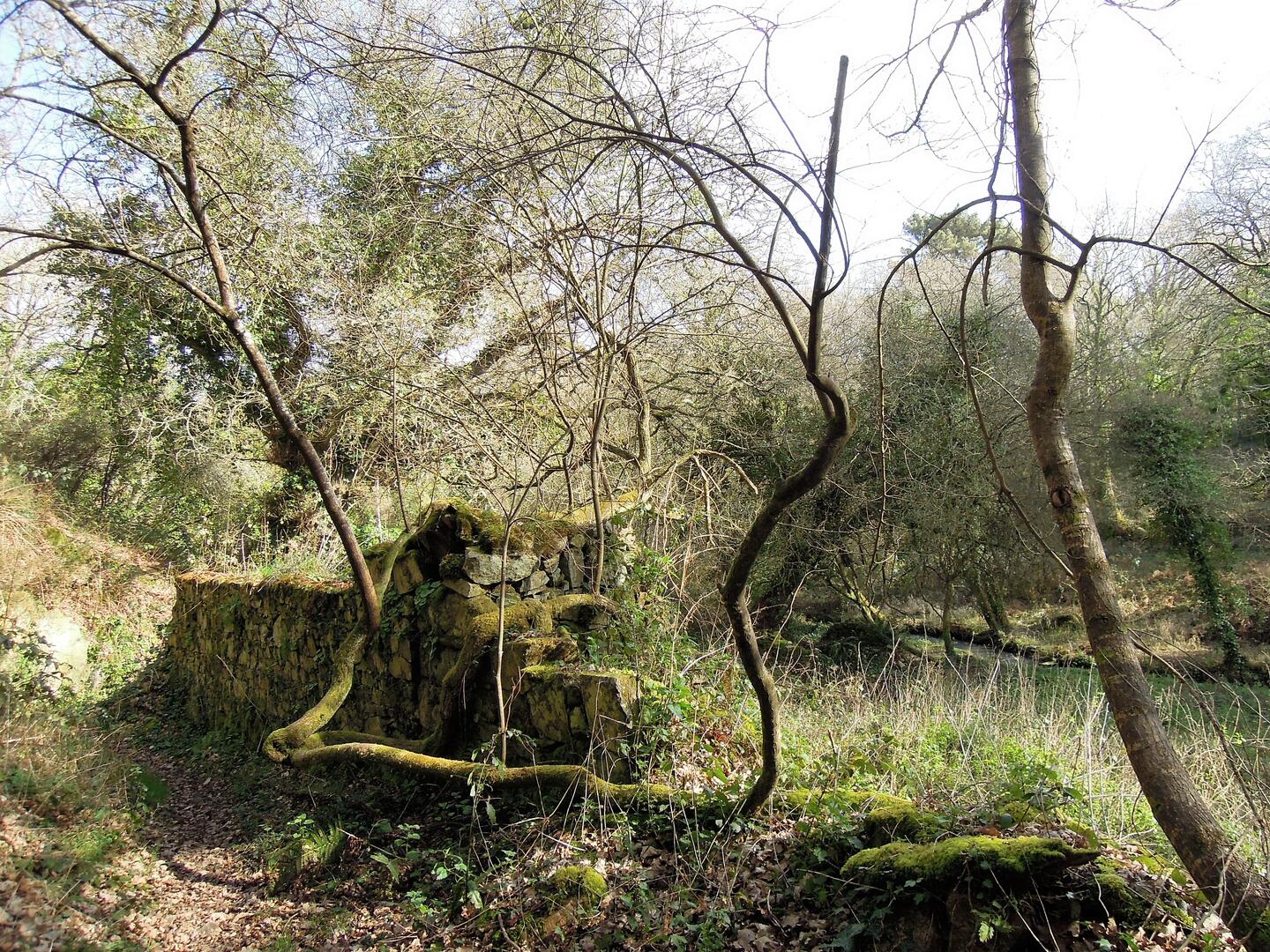 Vallée de Lizildry
