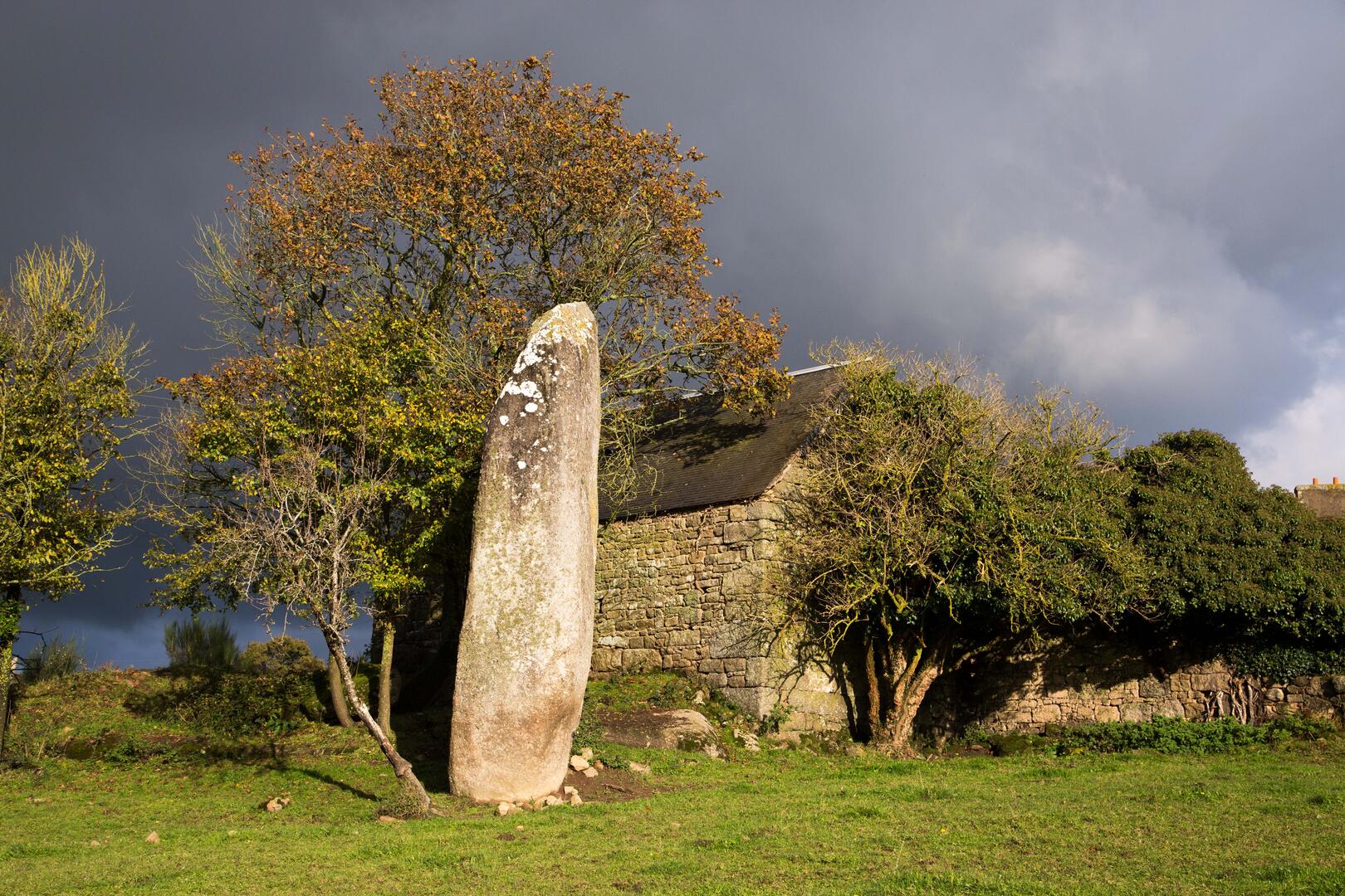 Florilège-Keranscot Trégrom-Déclic'Armor ©Jean-François Le Goff