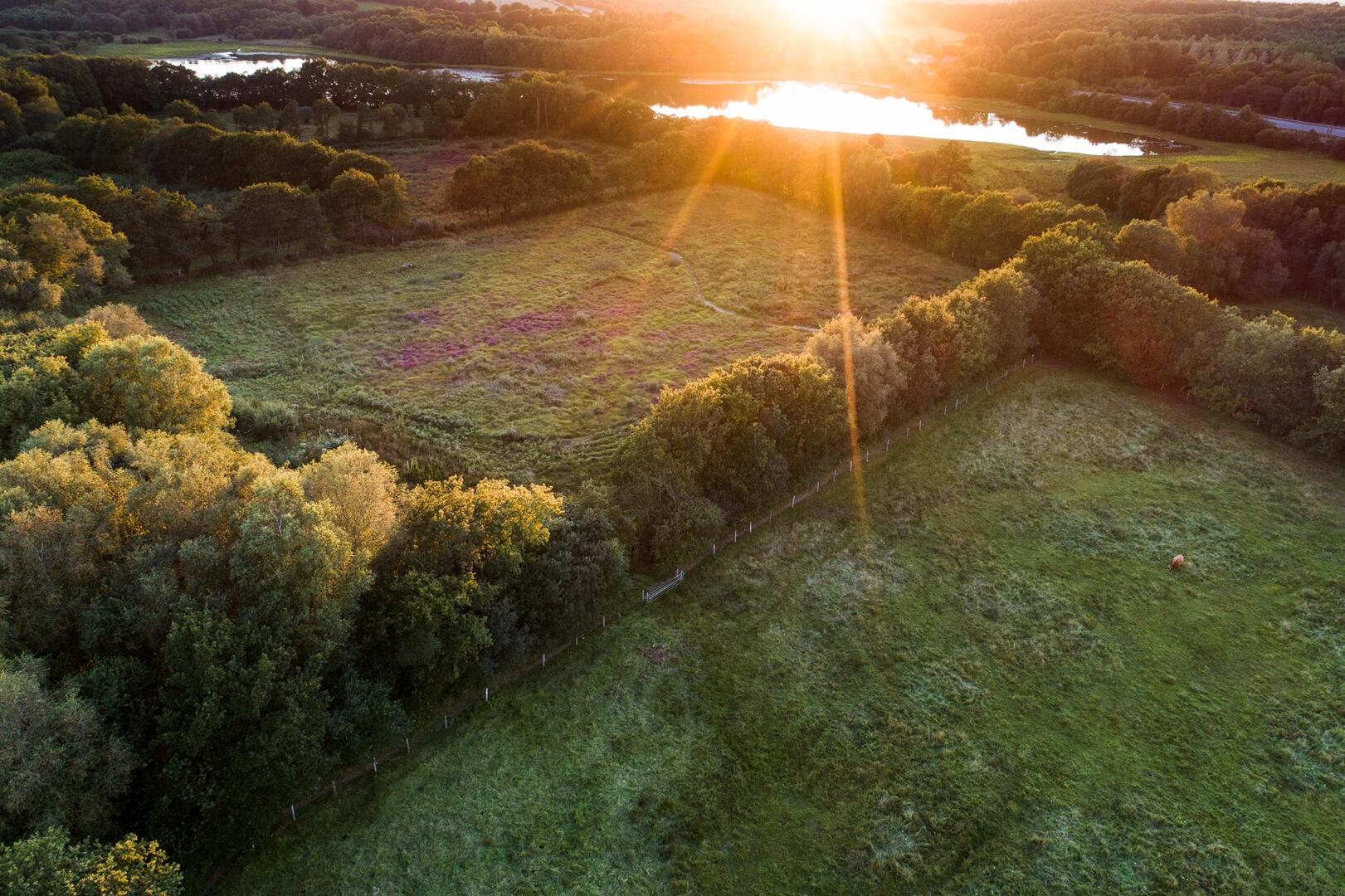 La réserve naturelle Plounérin en image © Yoan Briere-La Lanterne (34)