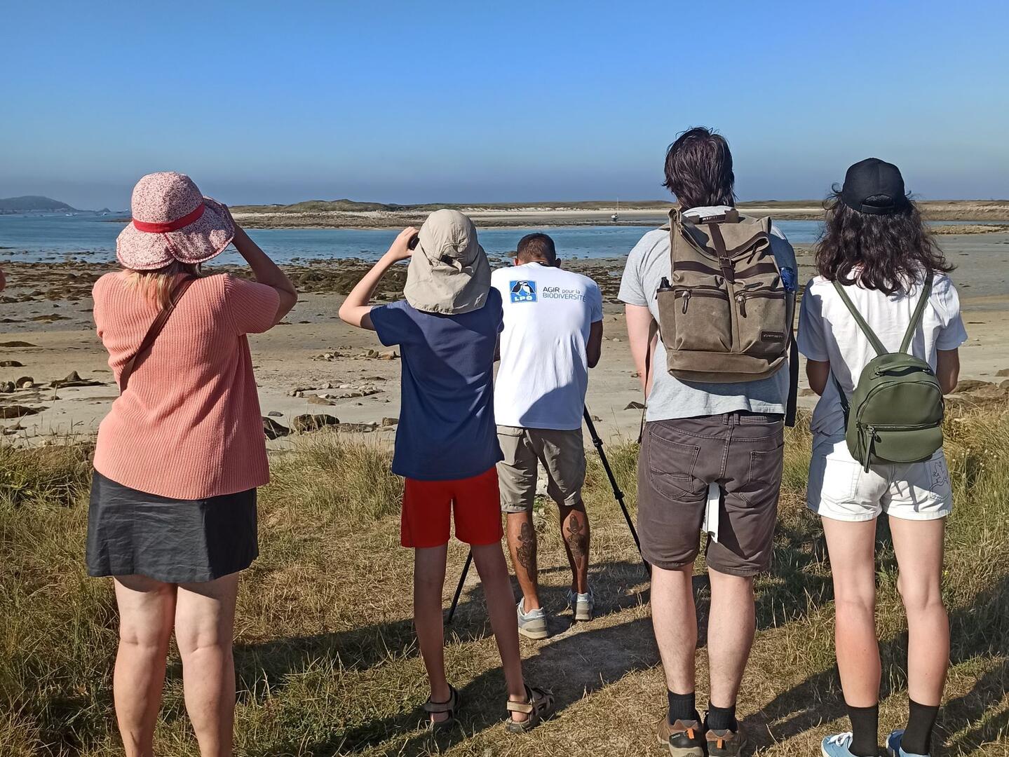 Sortie observons oiseaux BR