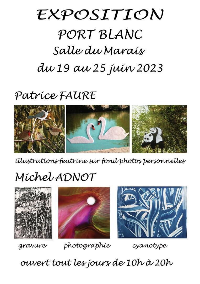 affiche