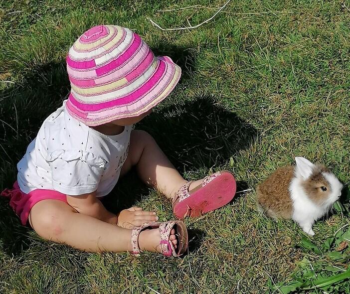 bébés fermiers 3