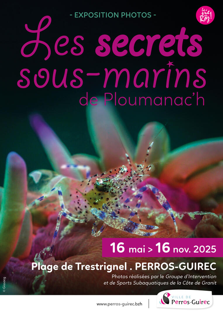 expo sous marins