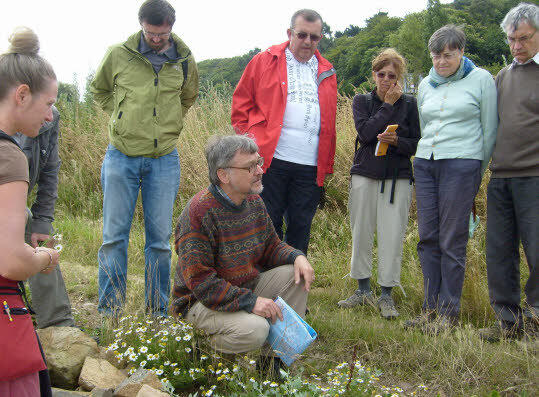 flore du littoral