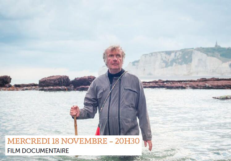 la saison des tourteaux