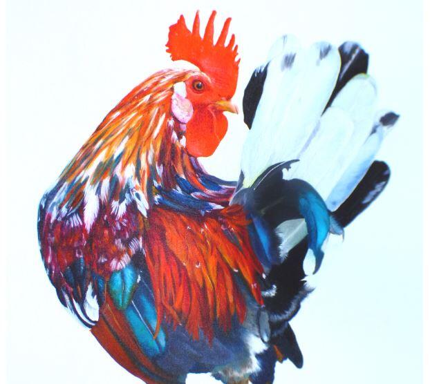peintures