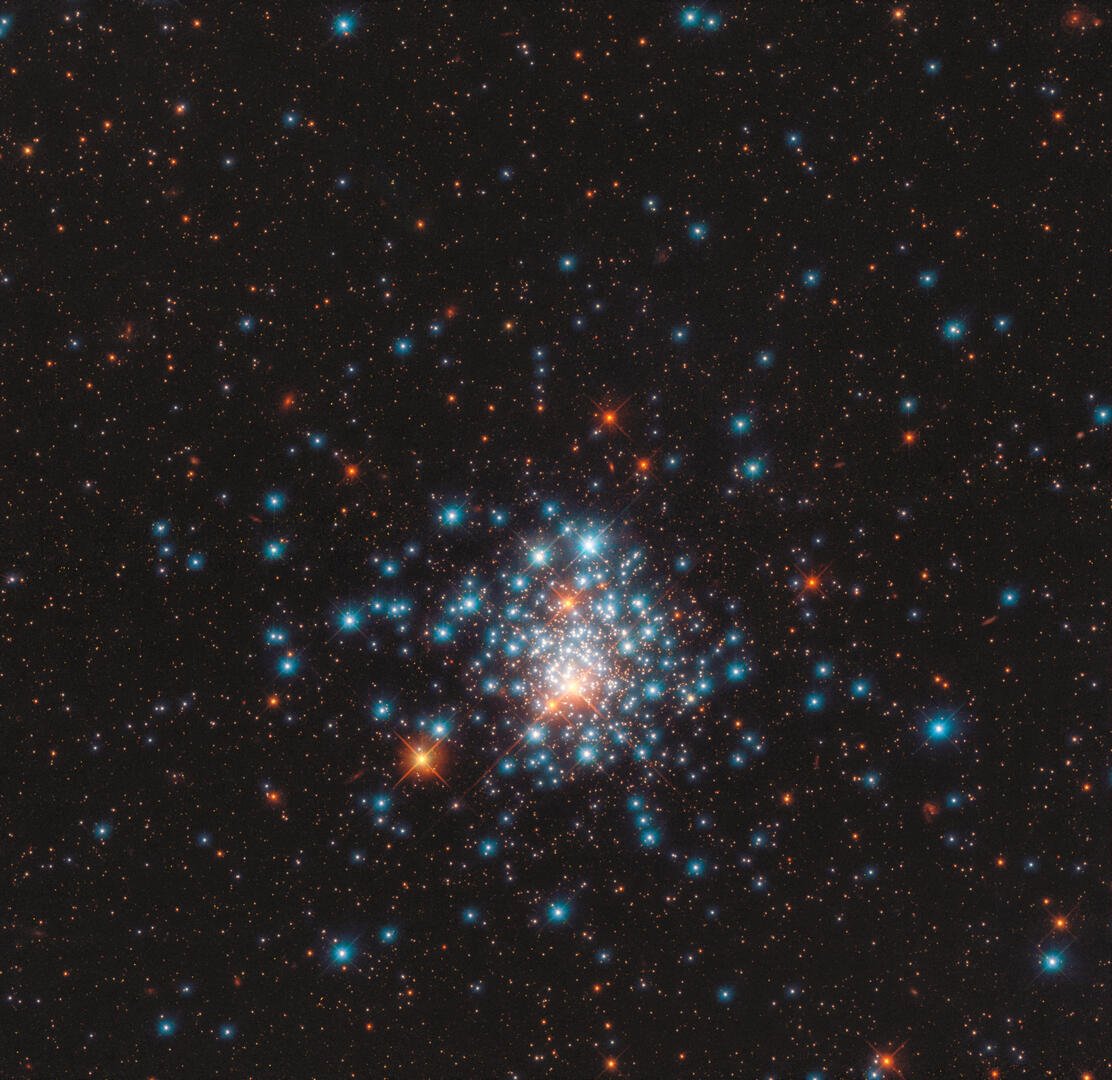 potw2036a_web