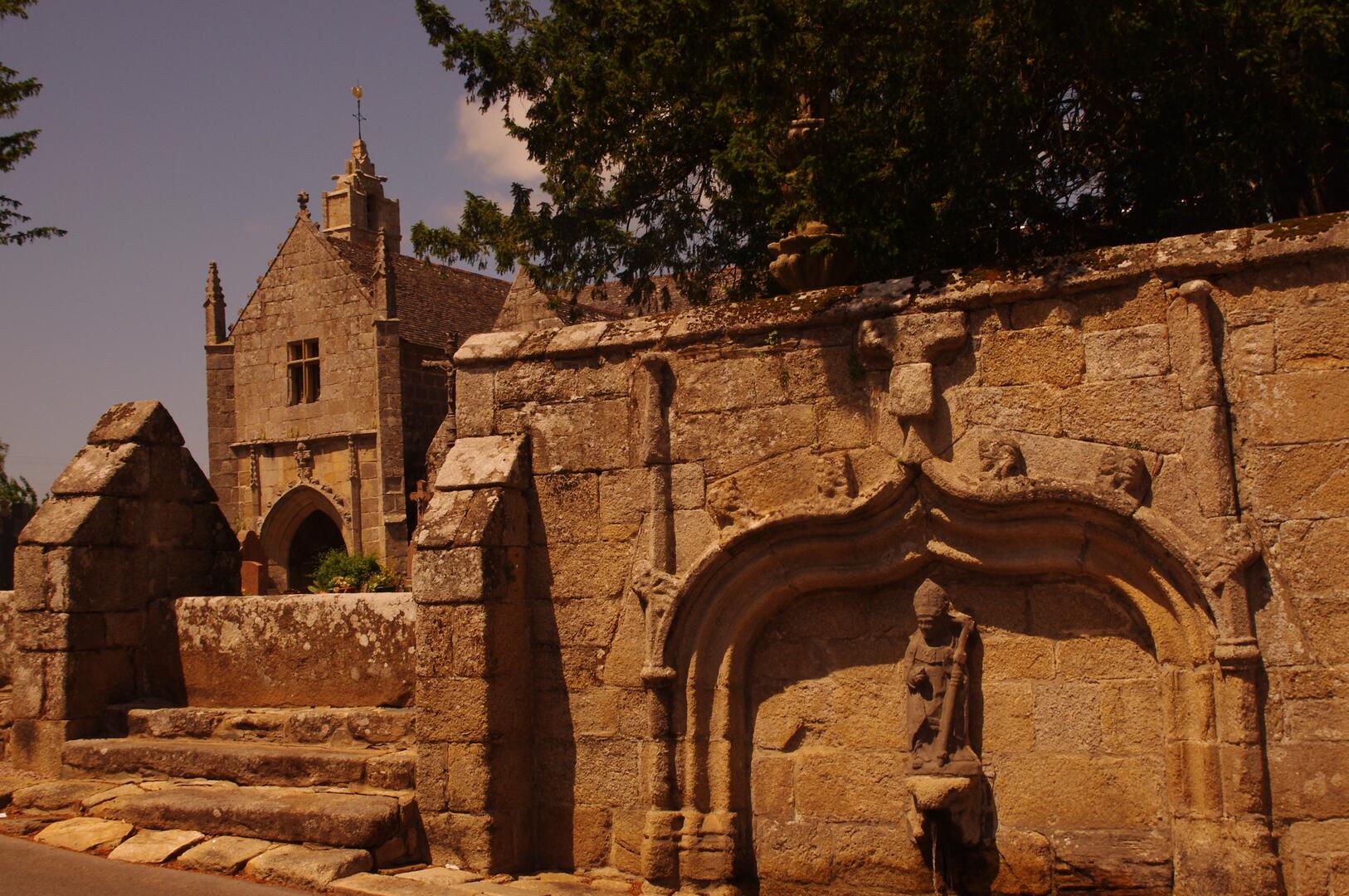 saint ivy (8)