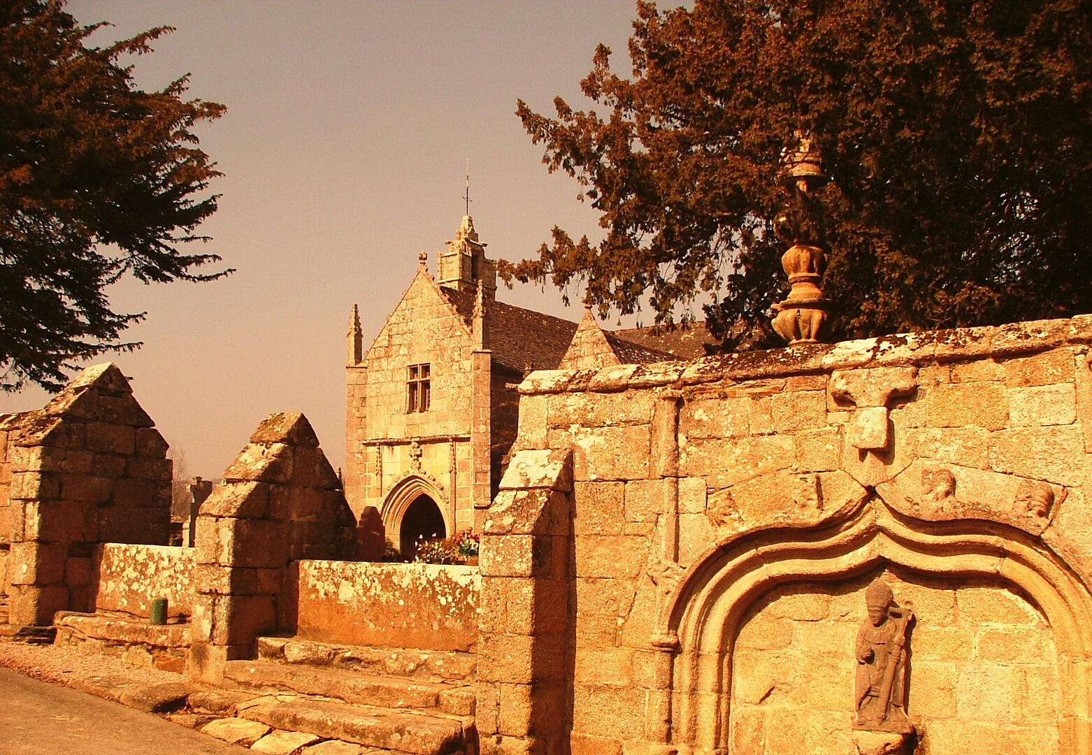 saint ivy (8)