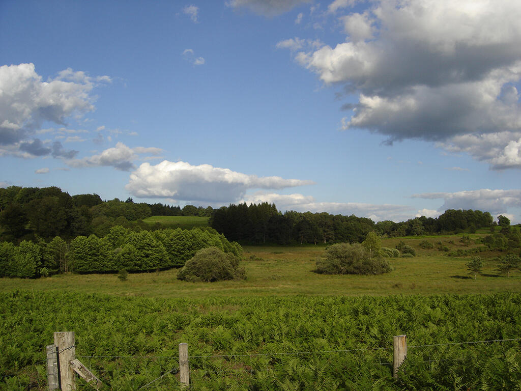 Landes et Tourbières