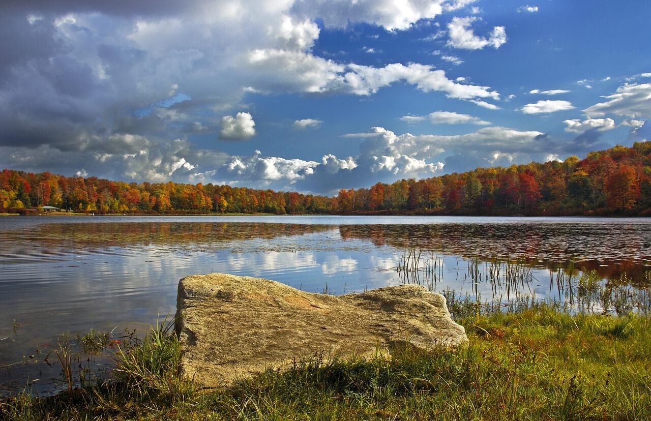Etang communal_1