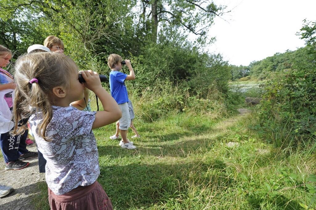 Détectives naturalistes en herbe_1